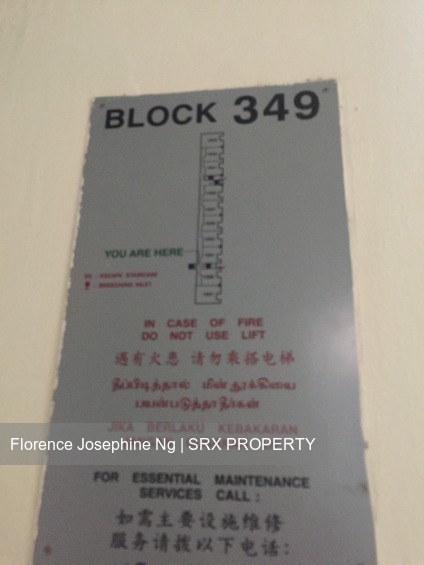 Blk 349 Ubi Avenue 1 (Geylang), HDB 4 Rooms #179680772
